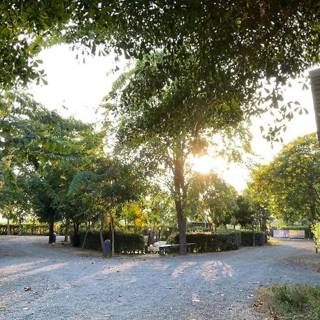 Baan Tonjaeng Resort Csainat Kültér fotó
